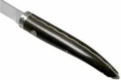 Laguiole En Aubrac Gourmet FGO20EBI Boning Knife Ebony Wood 20 Cm -KNIVESANDTOOLS Sales AUFGO20EBI 05 laguiole en aubrac 1