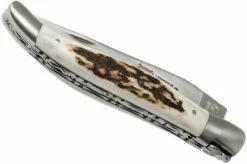 Laguiole En Aubrac 12cm Double Plates, Stag Horn Hand-filed, L0712BCI/FSB1 14 Laguiole En Aubrac 12cm Double Plates, Stag Horn Hand-filed, L0712BCI/FSB1 -KNIVESANDTOOLS Sales AUL0712BCI FSB1 04 laguiole en aubrac