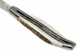 Laguiole En Aubrac 12cm Double Plates, Stag Horn Hand-filed, L0712BCI/FSB1 15 Laguiole En Aubrac 12cm Double Plates, Stag Horn Hand-filed, L0712BCI/FSB1 -KNIVESANDTOOLS Sales AUL0712BCI FSB1 05 laguiole en aubrac