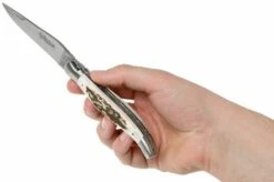 Laguiole En Aubrac 12cm Double Plates, Stag Horn Hand-filed, L0712BCI/FSB1 18 Laguiole En Aubrac 12cm Double Plates, Stag Horn Hand-filed, L0712BCI/FSB1 -KNIVESANDTOOLS Sales AUL0712BCI FSB1 08 laguiole en aubrac