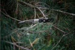 Böker Mamba Grenadill 110821 Gentleman's Knife -KNIVESANDTOOLS Sales BO110821 10 sfeerfoto