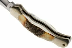 Böker Junior Scout 111910 Stag, Pocket Knife -KNIVESANDTOOLS Sales BO111910 05 boker