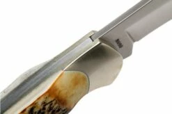 Böker Junior Scout 111910 Stag, Pocket Knife -KNIVESANDTOOLS Sales BO111910 06 boker