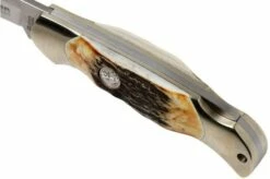 Böker Junior Scout 111910 Stag, Pocket Knife -KNIVESANDTOOLS Sales BO111910 07 boker