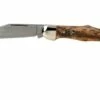 Böker 20-21 Brown Bone 119954 Pocket Knife 2 Böker 20-21 Brown Bone 119954 Pocket Knife -KNIVESANDTOOLS Sales BO119954 01 boker