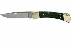 Buck 110 Folding Hunter
