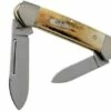Case Baby Butterbean Genuine Stag 05537, 52132W SS Pocket Knife -KNIVESANDTOOLS Sales CE05537 01 case
