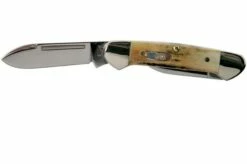 Case Baby Butterbean Genuine Stag 05537, 52132W SS Pocket Knife -KNIVESANDTOOLS Sales CE05537 03 case