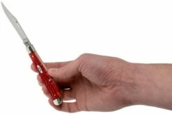 Case Slimline Trapper Dark Red Bone, Standard Jig, 06982, 61048 CV Pocket Knife -KNIVESANDTOOLS Sales CE06982 07 case