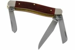 Case Stockman Chestnut Bone Smooth, Embellished Medium Trapper In Gift Tin, 10431, 6318 SS Pocket Knife -KNIVESANDTOOLS Sales CE10431 02 case