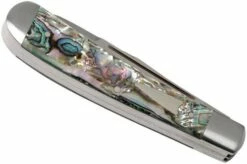 Case HT Trapper, Abalone, 154CM, Smooth, 10772, TB822021 Pocket Knife, Tony Bose Design -KNIVESANDTOOLS Sales CE10772 04 case