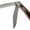 Case HT Trapper, Brown Bone, 154CM, Peach Seed Jig, 10774, TB622021 Pocket Knife, Tony Bose Design -KNIVESANDTOOLS Sales CE10774 01 case