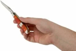 Case Mini Trapper Tequila Sunrise Bone, Standard Jig 14482, 6207 SS Pocket Knife -KNIVESANDTOOLS Sales CE14482 05 case