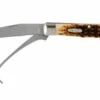 Case Equestrian Amber Jigged Bone, 00144, 6254HP SS Pocket Knife -KNIVESANDTOOLS Sales CE144 01 case ce144 01
