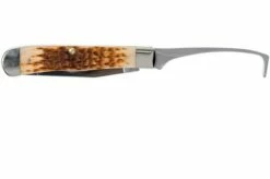 Case Equestrian Amber Jigged Bone, 00144, 6254HP SS Pocket Knife -KNIVESANDTOOLS Sales CE144 03 case ce144 03