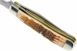 Case Equestrian Amber Jigged Bone, 00144, 6254HP SS Pocket Knife -KNIVESANDTOOLS Sales CE144 07 case ce144 07