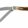 Case Trapper Amber Jigged Bone, 00164, 6254 SS Pocket Knife 2 Case Trapper Amber Jigged Bone, 00164, 6254 SS Pocket Knife -KNIVESANDTOOLS Sales CE164 01 case ce164 01