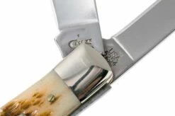 Case Trapper Amber Jigged Bone, 00164, 6254 SS Pocket Knife -KNIVESANDTOOLS Sales CE164 06 case ce164 06