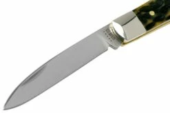 Case Tear Drop, Tang Stamp Series, Peach Seed Jig, Olive Green Bone 21510, TB61028 SS Pocket Knife -KNIVESANDTOOLS Sales CE21510 03 case