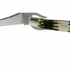 Case Russlock, Tang Stamp Series, Peach Seed Jig, Olive Green Bone 21517, 61953L SS Pocket Knife