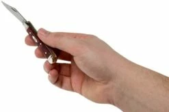 Case Peanut Burgundy Smooth Kirinite, Fluted Bolsters, 23183, 10220 SS Pocket Knife -KNIVESANDTOOLS Sales CE23183 05 case