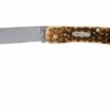 Case Sod Buster Jr Amber Jigged Bone, 00245, 6137 SS Pocket Knife -KNIVESANDTOOLS Sales CE245 01 case ce245 01