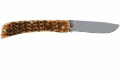Case Sod Buster Jr Amber Jigged Bone, 00245, 6137 SS Pocket Knife -KNIVESANDTOOLS Sales CE245 02 case ce245 02