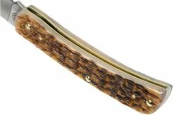 Case Sod Buster Jr Amber Jigged Bone, 00245, 6137 SS Pocket Knife -KNIVESANDTOOLS Sales CE245 05 case ce245 05