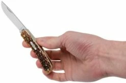 Case Sod Buster Jr Amber Jigged Bone, 00245, 6137 SS Pocket Knife -KNIVESANDTOOLS Sales CE245 09 case ce245 09