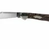 Case Copperlock Black Sycamore Wood, 25576, 71549L SS Pocket Knife -KNIVESANDTOOLS Sales CE25576 01 case