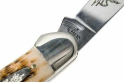 Case Canoe Amber Jigged Bone, 00263, 62131 CV Pocket Knife -KNIVESANDTOOLS Sales CE263 07 case ce263 07