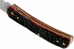 Case Sod Buster Jr Crimson Red Peach Seed Jigged Bone, 27383, 6137 SS Pocket Knife -KNIVESANDTOOLS Sales CE27383 05 case