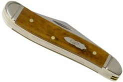 Case Peanut Smooth Antique Bone 58201, 6220 SS Pocket Knife -KNIVESANDTOOLS Sales CE58201 04 case