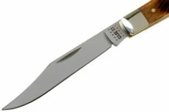 Case Slimline Trapper Dark Molasses Bone, Sawcut, 83146, 61048 SS Pocket Knife -KNIVESANDTOOLS Sales CE83146 03 case