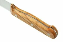 Due Cigni Tuscany 2C744-22OL Carving Knife 22 Cm Olive Wood -KNIVESANDTOOLS Sales DG2C744 22OL 04 duecigni 1