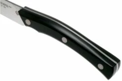 Due Cigni Arne Line Paring Knife 10 Cm, Black -KNIVESANDTOOLS Sales DG2C901 05 due cigni arne