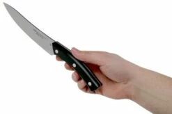 Due Cigni Arne Line Utility Knife 15 Cm, Black -KNIVESANDTOOLS Sales DG2C902 06 due cigni arne