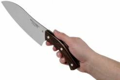 Due Cigni Arne Line Santoku 19 Cm, Ziricote -KNIVESANDTOOLS Sales DG2C904ZW 06 due cigni arne