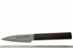 Eden Susumi SG2 Paring Knife, 10 Cm -KNIVESANDTOOLS Sales EQ2050 110 06 eden susumi sg2 officemes eq2050 110 d6