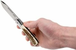 Fallkniven GPs Gentleman's Pocket Knife Stag Horn -KNIVESANDTOOLS Sales FKGPS 08 fallkniven fkgps 08 1