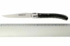 Fontenille Pataud Le Pocket Guilloché Buffalo Horn -KNIVESANDTOOLS Sales FPL9PCNTG 05 fontenille pataud fpl9pcntg d5