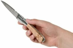 Fontenille Pataud Corsican Sperone, Juniper Wood & Rose Damascus Steel -KNIVESANDTOOLS Sales FPS1GDI4 08 fontenille pataud v201905