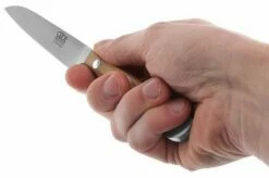 Güde Alpha Olive Peeling Knife, X701/09 11 Güde Alpha Olive Peeling Knife, X701/09 -KNIVESANDTOOLS Sales GUX701 09 05 gude alpha olive gux701 09 05