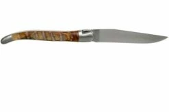 Forge De Laguiole 12 Cm 1212INBESAT Ram's Horn Laguiole Knife 11 Forge De Laguiole 12 Cm 1212INBESAT Ram's Horn Laguiole Knife -KNIVESANDTOOLS Sales LA1212INBESAT 02 forge de laguiole