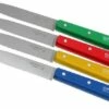 Set Of 4 Opinel Paring Knives N°112 Classiques -KNIVESANDTOOLS Sales OP001233 01 opinel tafelmesset op001233 01 1