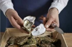 Opinel Oyster Knife No 09 -KNIVESANDTOOLS Sales OP001616 07 opinel oestermes op001616 08