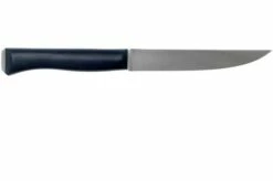 Opinel Intempora Carving Knife No. 220, 16 Cm -KNIVESANDTOOLS Sales OP002220 02 opinel intempora