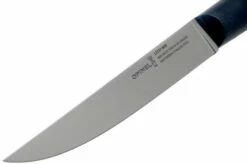 Opinel Intempora Carving Knife No. 220, 16 Cm -KNIVESANDTOOLS Sales OP002220 03 opinel intempora