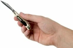 Old Timer Dog Leg Jack 72OTB Saw Cut Bone Slipjoint Pocket Knife -KNIVESANDTOOLS Sales OT72OTB 05 schrade old timer