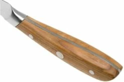 Richardson Sheffield Scandi 09500P538117 Paring Knife, 10 Cm -KNIVESANDTOOLS Sales RFR09500P538117 04 richardson sheffield